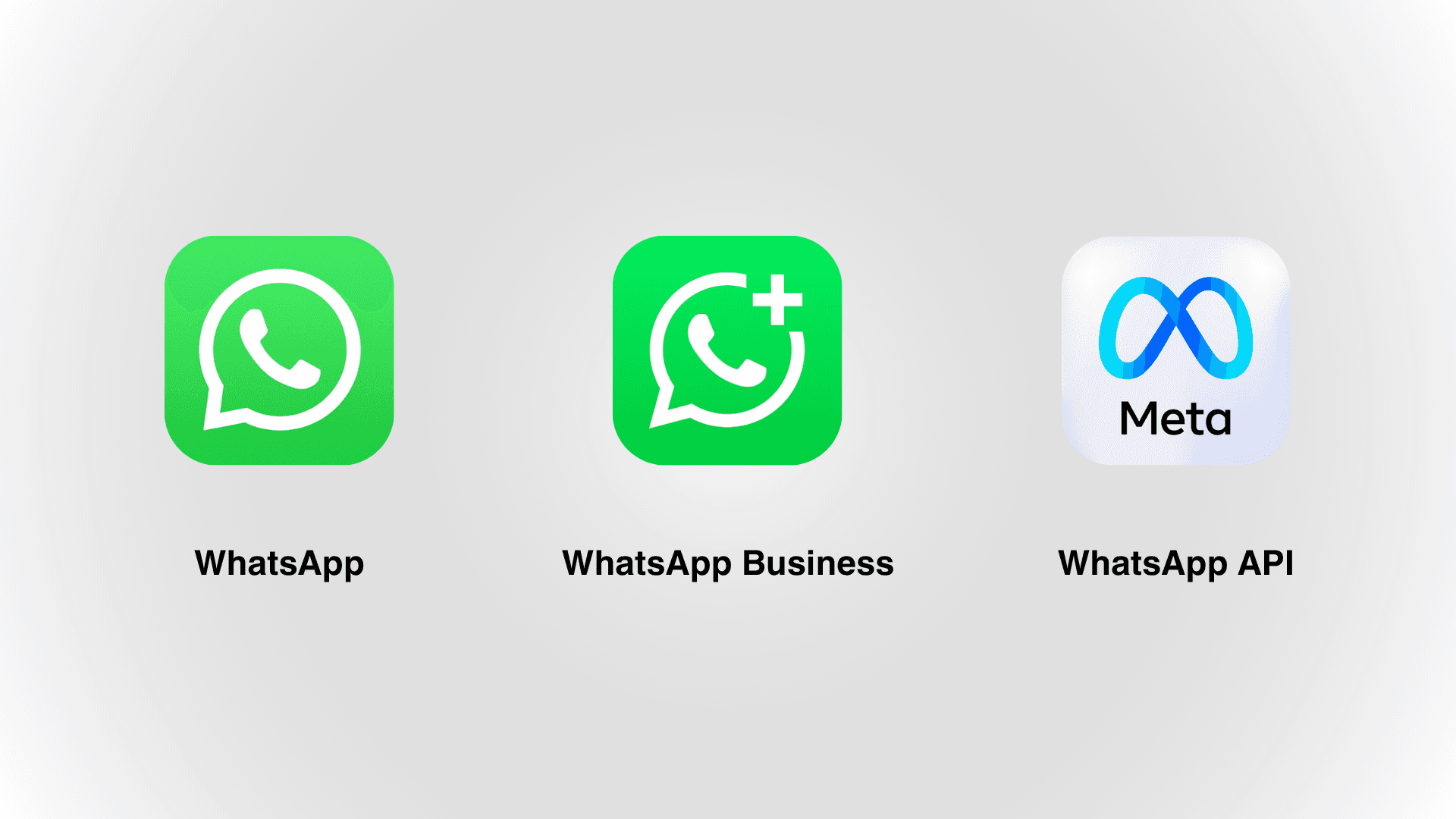 WhatsApp vs. WhatsApp Business vs. WhatsApp API: what's the right solution for your hotel?